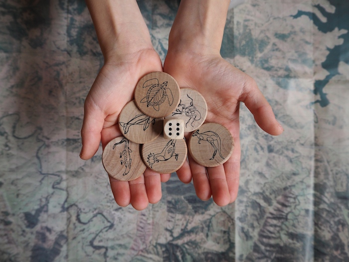 playing pieces The Map Game Australia