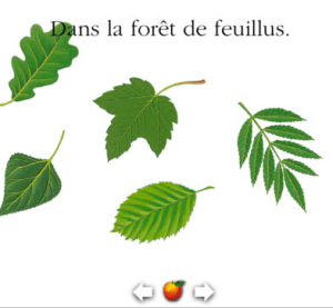 Beautiful App for Children